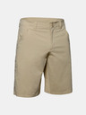 Under Armour UA Fish Hunter Shorts