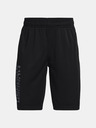 Under Armour Prototype 2.0 Wdmk Kinder Shorts