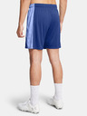 Under Armour UA M's Ch. Knit Shorts