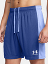 Under Armour UA M's Ch. Knit Shorts