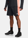 Under Armour UA M's Ch. Knit Shorts