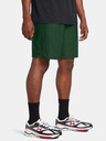 Under Armour UA Tech Vent Shorts