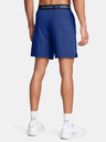 Under Armour UA Vanish Woven 6in Shorts