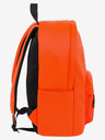 BAAGL  NASA Rucksack