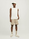 Jack & Jones Gordon Shorts