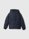 GAP Jacke