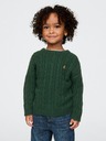 GAP Kinderpullover