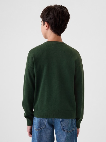 GAP Kinderpullover