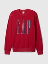 GAP Sweatshirt