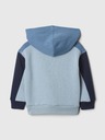 GAP Sweatshirt Kinder