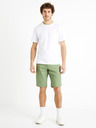 Celio Bochinobm Shorts