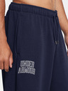 Under Armour Herren Sporthose Under Armour UA Icon HWT Terry OS Pant