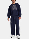 Under Armour Herren Sporthose Under Armour UA Icon HWT Terry OS Pant