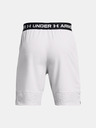 Under Armour UA Vanish Woven 8in Shorts