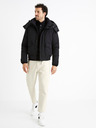 Celio Cuchunky Jacke