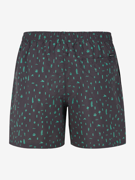 Protest PRTGROM Shorts