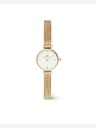 Daniel Wellington Petite Mini 19 Evergold Watch