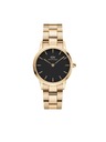 Daniel Wellington Iconic Link Watch