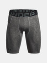 Under Armour HG Armour Lng  Shorts