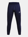 Under Armour UA M's Ch. Train Hose