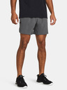 Under Armour UA Peak Woven Shorts