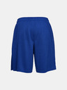 Under Armour Tech Mesh Shorts