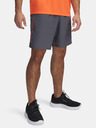 Under Armour UA Tech Woven Wordmark Shorts