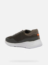 Geox Khaki Herren Turnschuhe Geox Klaiver