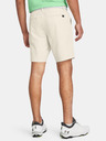 Under Armour UA Drive Taper Shorts