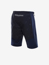 ALPINE PRO Shorts