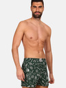 Dedoles Fyzika vs. Chemie Boxershorts