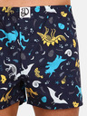 Dedoles Dinosauři Boxershorts