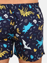 Dedoles Dinosauři Boxershorts