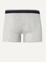 Celio Mike Boxer-Shorts