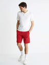 Celio Bochinobm Shorts