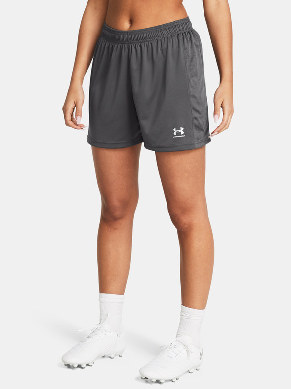 Under Armour UA W's Ch. Knit Short-GRY Shorts