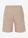 Protest Herrenshorts Protest PRTULEY