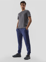 4F Herren-Sport-Shirt