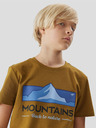 4F Baumwoll-T-Shirt für Jungen