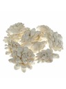 Casa de Engel Dried Chrysanthemum - Set of 12pcs, 0/40