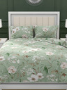 Kvalitex Französische Baumwollbettwäsche DELUX 200x200, 70x90cm MAGNOLIA grün