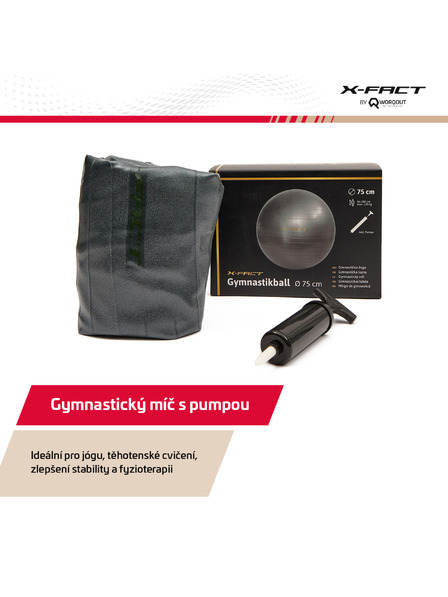 Worqout Gymnastikball 65 cm Worqout