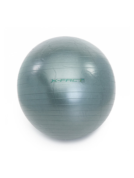 Worqout Gymnastikball 75 cm Worqout