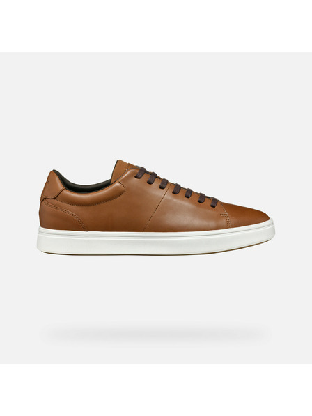 Geox Braun Herren Geox Baltmoore Turnschuhe