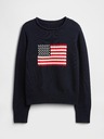 GAP Jungen-Strickpullover Americana GAP
