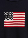 GAP Jungen-Strickpullover Americana GAP