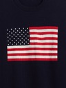 GAP Herren-Strickpullover Americana GAP