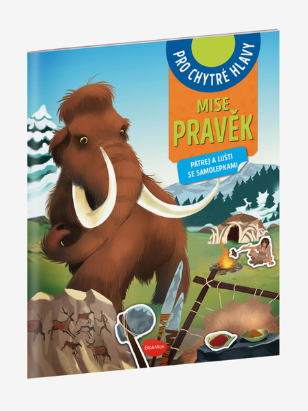 ELLA & MAX MISE RIGHT - Suche und Rettung mit Stickern