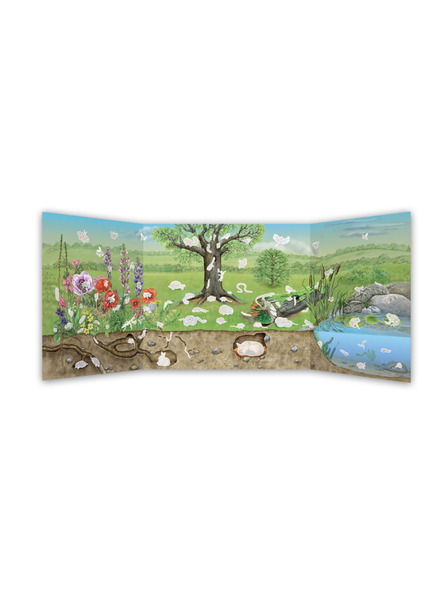 ELLA & MAX DIE WELT DER VÖGEL, MUSCHELN und anderer Tiere unserer Gärten - Buch mit Poster und Aufklebern