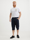LERROS Dunkelblaue Herren-Shorts LERROS
